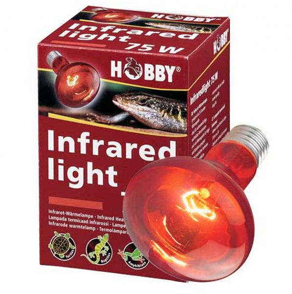 Hobby Infrared Light 50 W- E27 Sockel