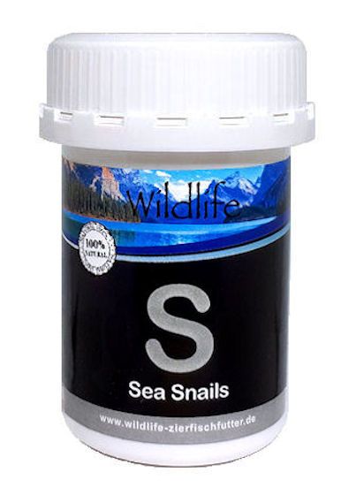 WILDLIFE FD Black Line - Sea Snails Futterschnecken - Gefriergetrocknete
