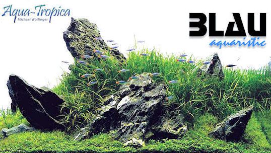 BLAU aquaristic Aquascaping Square 38 Liter - Weißglasaquarium, Garnelen, Wirbellose, Nano-Becken-Co