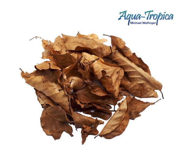 Aqua-Tropica Natural Buchenblätter - 25 Stück