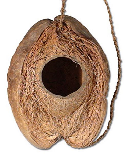 Kokosnuss Schlupfhöhle