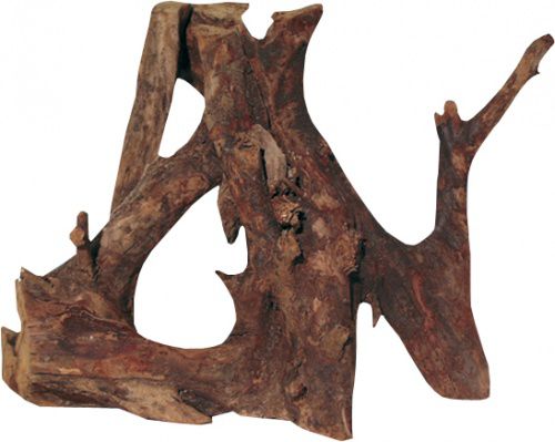 Mangroven Wurzel M - 35-45 cm