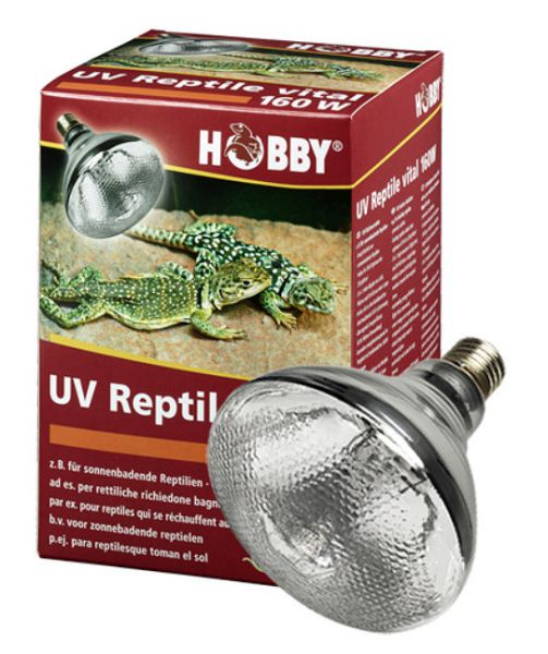 Hobby UV Reptil Vital 160 W - E27 Sockel-Copy