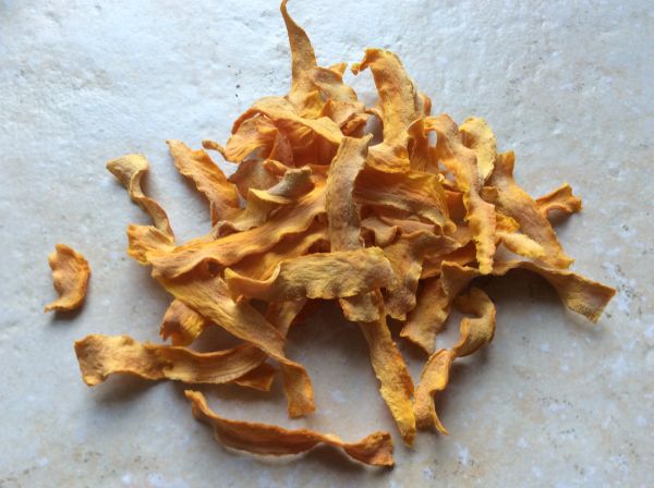 Aqua-Tropica Hokkaido Chips getrocknet
