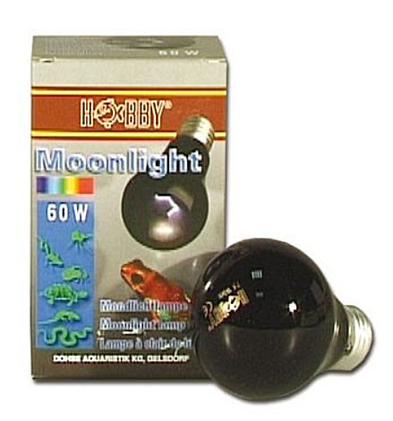 Hobby Moonlight 60 W - E27 Sockel