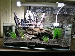 Nano-Aquarium Bonsai Small 17 - Starter-Set