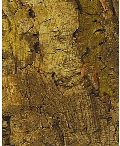 Zierkorkplatte - 60 x 30 cm