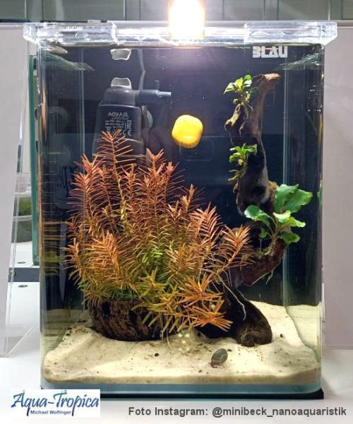 BLAU aquaristic - Nano-Aquarium Cubic 10 Liter - Basis Glas Aquarium
